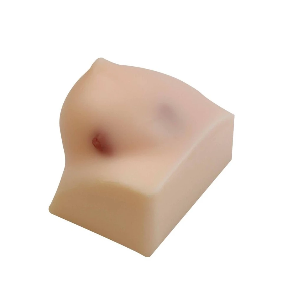 Breast Model (B-Ultrasound Guided Puncture Model) suppliers
