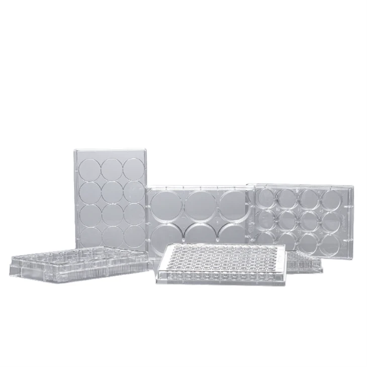 Cell Culture Multi Well Plate suppliers