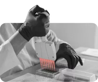 PCR