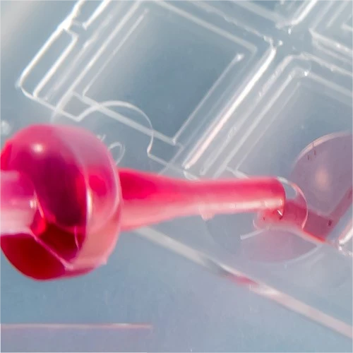 Urinalysis Microscope Slide best